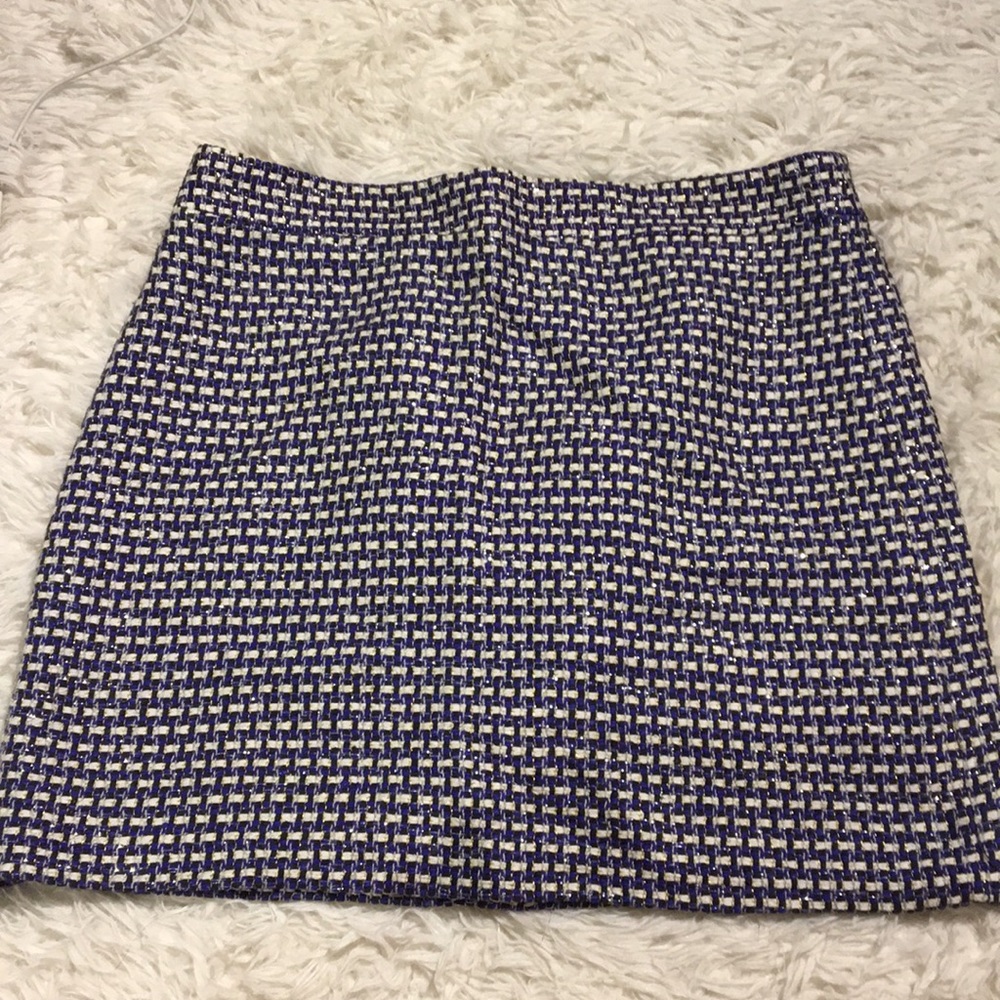 J Crew Skirt